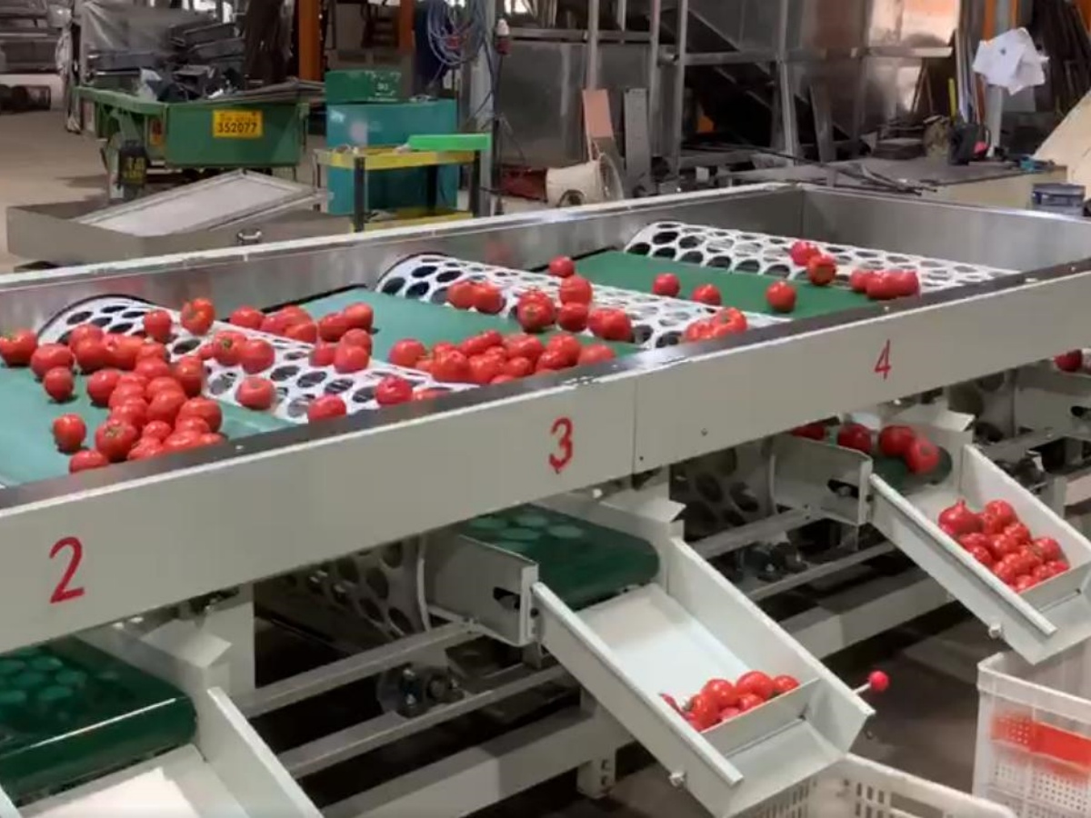 24 24