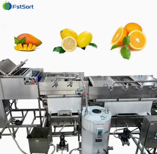 FstSort Automatic Mango Weight Processing Line factory